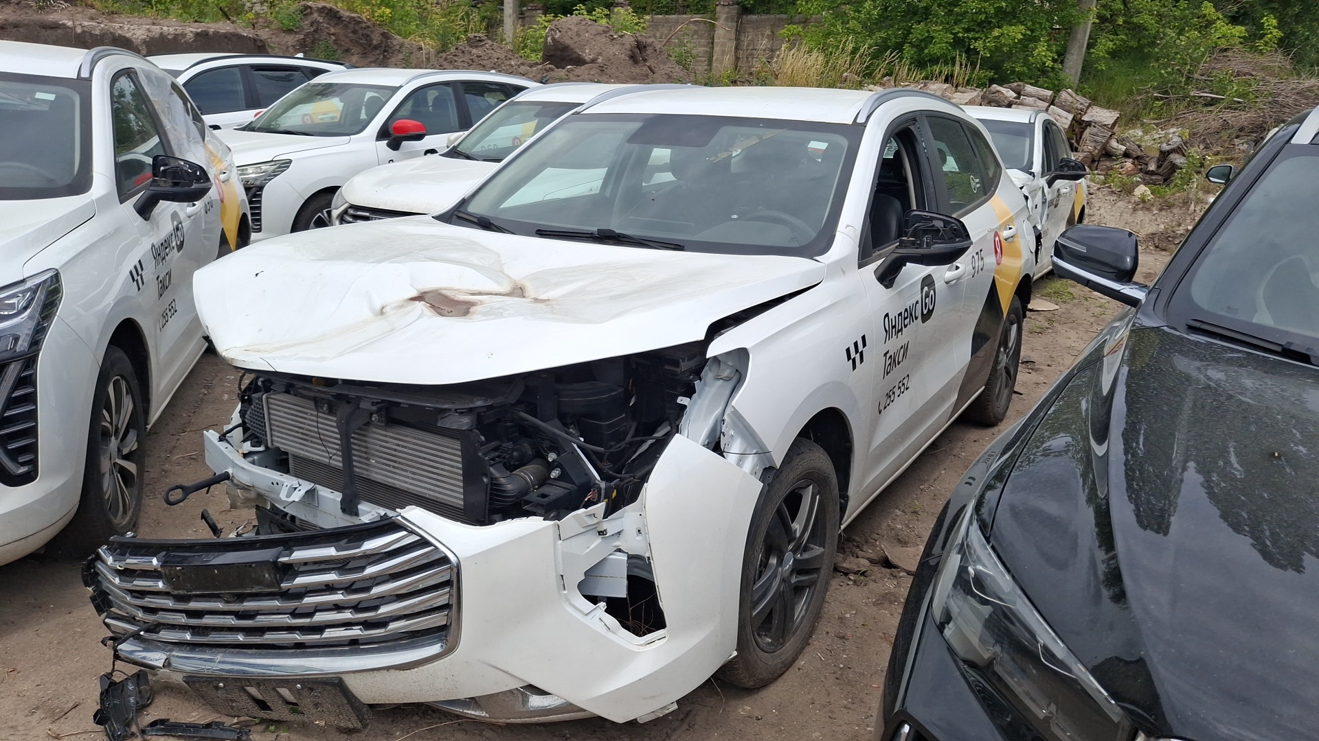 HAVAL Elite 1.5 7DCT 2WD — Б/У, 2023 г.