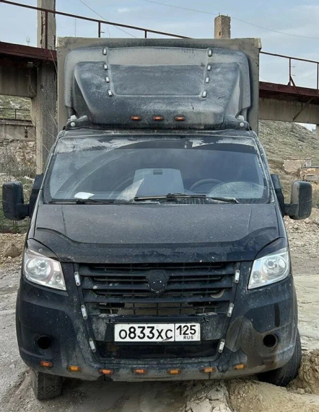 Луидор-Тюнинг 3009 на шасси GAZ GAZELLE NEXT Бортовой — Б/У, 2018 г.