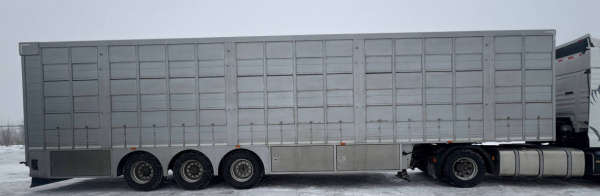 Балтспецмаш 9453 Полуприцеп скотовоз 945301 — Б/У, 2024 г.