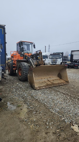 DEVELON (Hyundai Doosan Infracore Co., Ltd.) SD300 — Б/У, 2022 г. (Ставрополь, 3921 км)