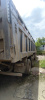 Shacman (Shaanxi) SX 8x4 Самосвал SX331863366 — Б/У, 2024 г.