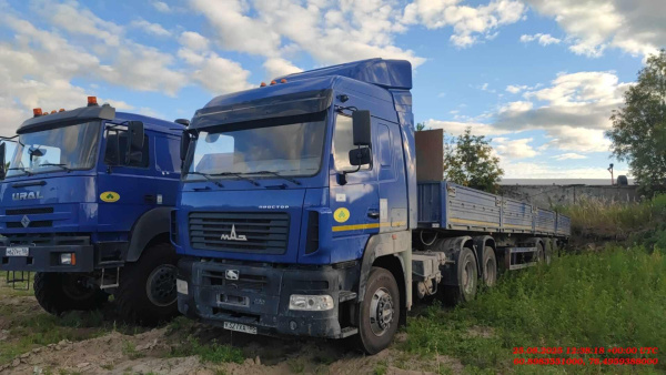 МАЗ (Белавтомаз, Могилевтрансмаш) 643008 — Б/У, 2023 г. (Нижневартовск, 7412 км)