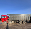 Shacman (Shaanxi) SX 8x4 Самосвал SX33186W366C — Б/У, 2022 г.