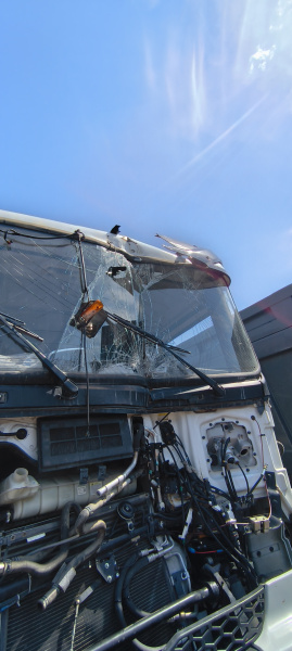 Shacman (Shaanxi) SX 8x4 Самосвал SX33186V366 — Б/У, 2024 г.