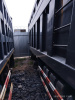 Shacman (Shaanxi) SX 8x4 Самосвал SX331863366 — Б/У, 2023 г.