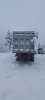 Shacman (Shaanxi) SX 8x4 Самосвал SX33186V366 — Б/У, 2022 г.