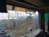 Shacman (Shaanxi) SX 8x4 Самосвал SX33186W366C — Б/У, 2022 г.