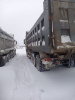 Shacman (Shaanxi) SX 8x4 Самосвал SX331863366 — Б/У, 2022 г.