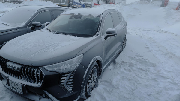 Haval Jolion — Б/У, 2024 г. (Норильск, 21008 км)