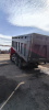 Shacman (Shaanxi) SX 8x4 Самосвал SX331863366 — Б/У, 2023 г.