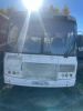 ПАЗ 3205 Автобус 320530-04 — Б/У, 2023 г.