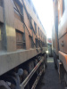 Shacman (Shaanxi) SX 8x4 Самосвал SX331863366 — Б/У, 2022 г.