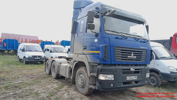 МАЗ (Белавтомаз, Могилевтрансмаш) 643008 — Б/У, 2023 г. (Нижневартовск, 6389 км)