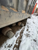 Shacman (Shaanxi) SX 6x4 Самосвал SX32586T384C — Б/У, 2022 г.
