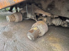 Shacman (Shaanxi) SX 6x4 Самосвал SX3258DR384 — Б/У, 2019 г.